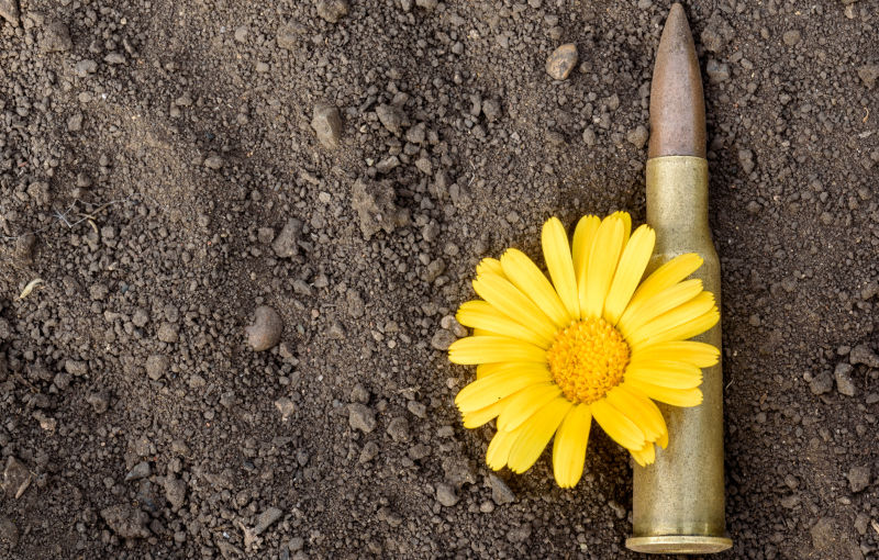 Ammunition shell with a yellow flower of peace resting on a dusty dirty background.